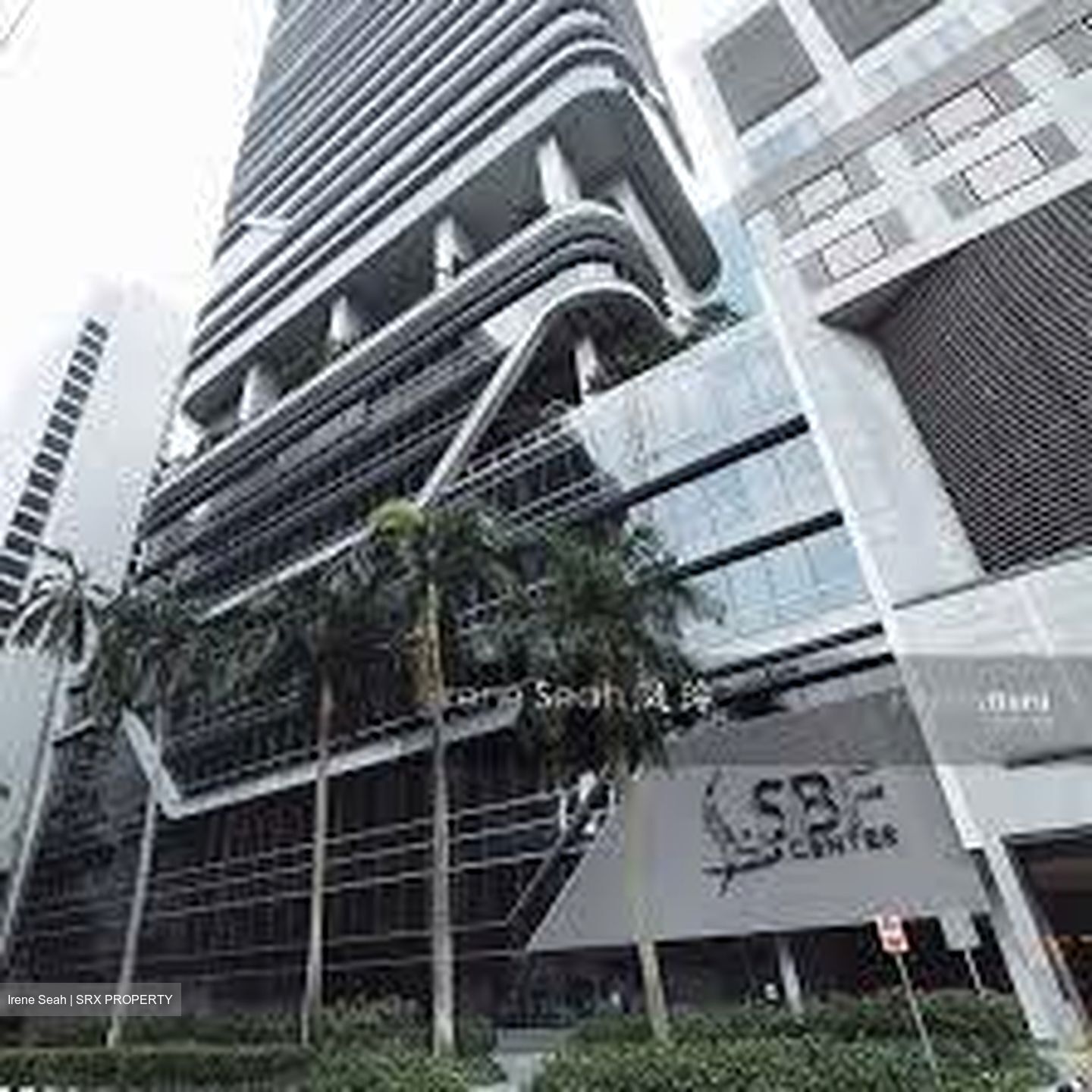 Sbf Center (D1), Office #452198671